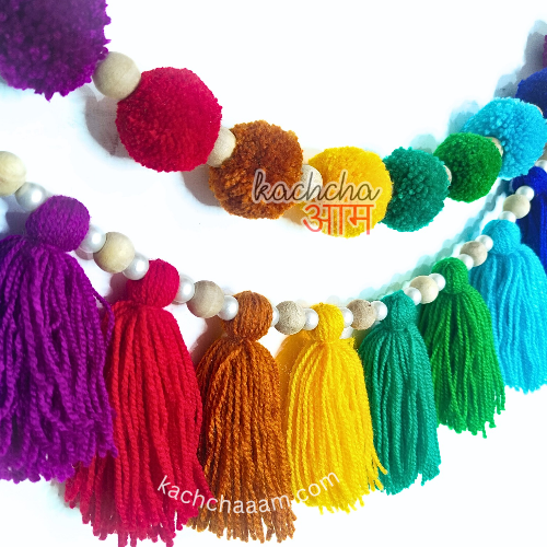 2 Layered VIBGYOR Pompom and Tassel Wool Bunting Wall Decor