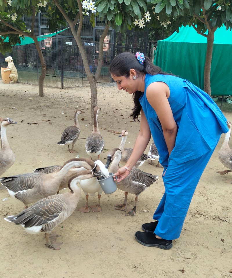 Giving Back to Nature: The Kachcha Aam Way