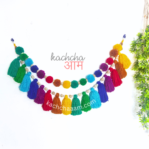 2 Layered VIBGYOR Pompom and Tassel Wool Bunting Wall Decor