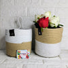 Hanging Planter